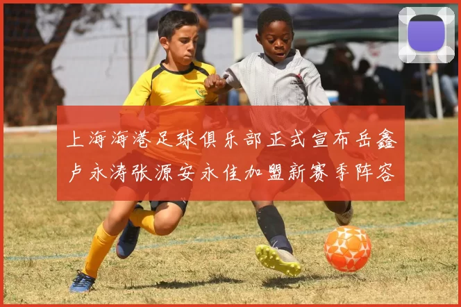 上海海港足球俱乐部正式宣布岳鑫卢永涛张源安永佳加盟新赛季阵容更新