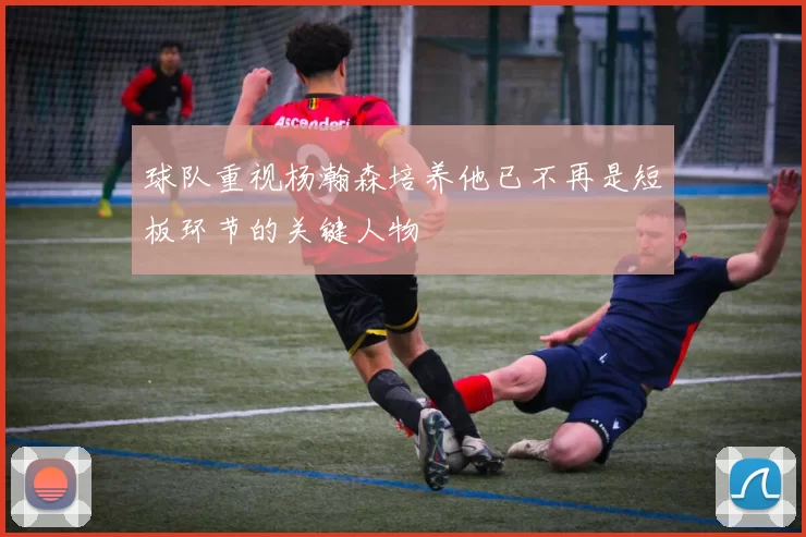 球队重视杨瀚森培养他已不再是短板环节的关键人物
