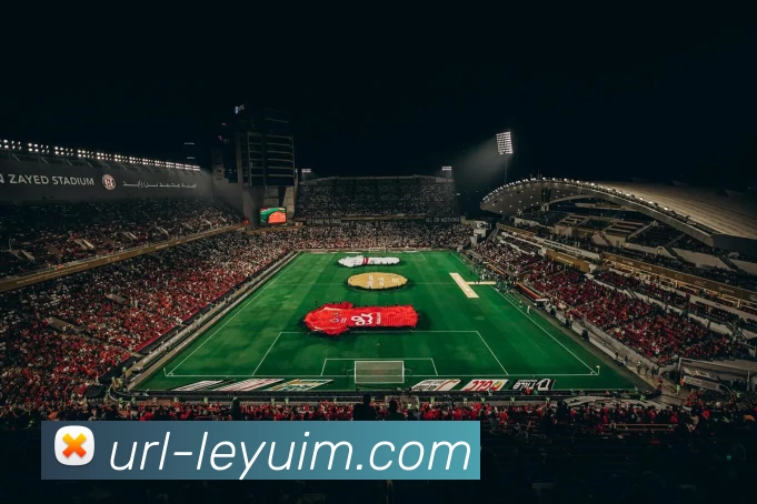 乐鱼体育APP 封面图